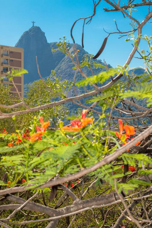 Rio Nature Hostel Рио-де-Жанейро Номер фото